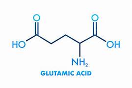 Acido Glutamico